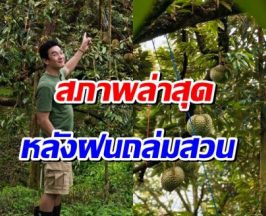 สู้ชีวิตมาก! ชาคริต อัปเดตสวนทุเรียนหลังฝนถล่ม สภาพเป็นเเบบนี้