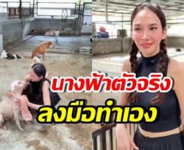 เปิดโมเมนต์ อั้ม พัชราภา อาบน้ำให้น้องหมาจร เลี้ยงไว้ 130 ตัว