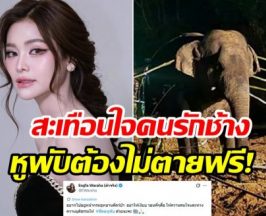 อิงฟ้า วราหะ กระบอกเสียงสำคัญ คืนความยุติธรรมให้สีดอหูพับ