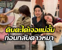 เศร้า! น้องคินตะ สุนัขเเสนรักไฮโซพก ไปวิ่งเล่นบนฟ้าแล้ว