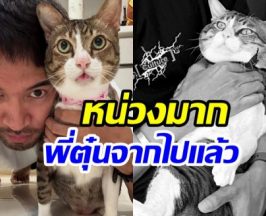 เกรท วรินทร เเจ้งข่าวเศร้า ไข่ตุ๋น กลับดาวเเมวเเล้ว