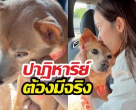 หัวใจสลาย! อั้มพัชราภาเผยข่าวเศร้าของเจ้าถั่วน้องหมาสุดเลิฟ