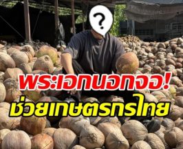 ดาราหนุ่มดัง ช่วยชาวสวน ซื้อมะพร้าวเดือนละ 1 แสนลูก