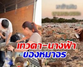 นี่แหละ พระเอกนางเอกตัวจริง ทำอาหารให้หมาจร 500 ชีวิต