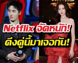 Netflix จัดหนัก! ดึง ใบเฟิร์น-ต่อ ลงจอใน เลือดรัก นักฆ่า