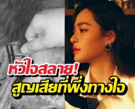 แห่กอดหลิงหลิง หลังเจอความสูญเสียครั้งใหญ่