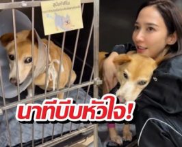 ใจสลาย! อั้มโพสต์คลิปล่าสุด แฟนคลับแห่ส่งกำลังใจน้องถั่ว