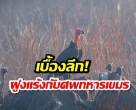 ดร.ธรณ์ เปิดเบื้องลึก ฝูงแร้ง บินว่อนเหนือชายแดนไทย-กัมพูชา