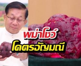รวยไม่ไหว! พม่าโชว์ โคตรอัญมณี มูลค่าทะลุโลก