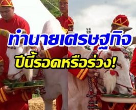 เปิดคำทำนายวันพืชมงคล 2569 ปีนี้พระโคกินอะไร