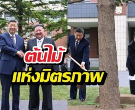 สีจิ้นผิง-คิม จองอึน ร่วมกันปลูก ต้นไม้แห่งมิตรภาพ