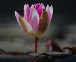 หากไม่ใช่เนื้อคู่ ถึงเวลาก็ต้องแยก