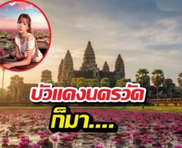 เขมรเอาจริง! ผุดทะเลบัวแดง กลางนครวัด ท้าชิงบัวแดงลิซ่า