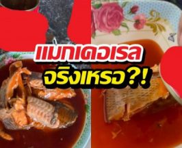 คลิปหลุดปลาหน้าแปลก ชาวเน็ตแห่สงสัย "คางดำ" บุกกระป๋อง?