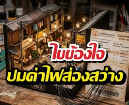 นักวิชาการ ปมคนไทยจ่ายค่าไฟส่องสว่าง