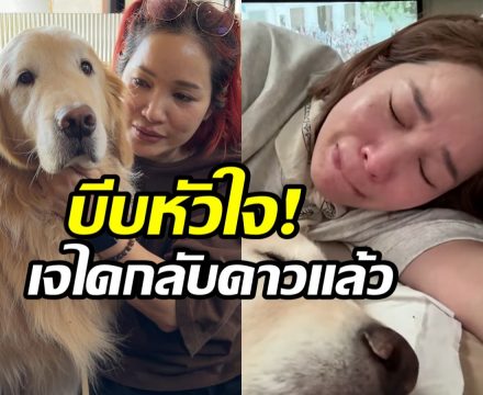 เพจ Japan and friends﻿ เเจ้งข่าวเศร้า! เจได กลับดาวเเล้ว