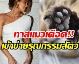 ความผิดพลาดครั้งใหญ่!! ซุปตาร์สาวยอมรับ เคยถอดเล็บเเมว