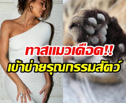 ความผิดพลาดครั้งใหญ่!! ซุปตาร์สาวยอมรับ เคยถอดเล็บเเมว