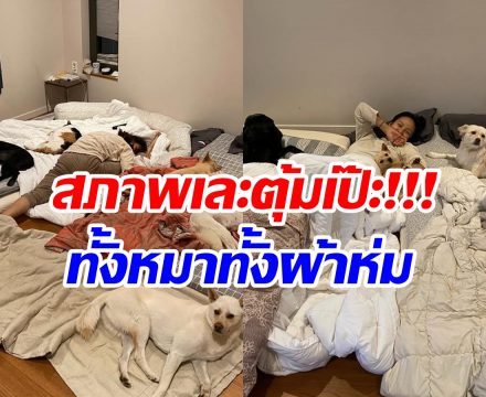 ชาวเน็ตอึ้งสภาพ วิจารณ์ยับเป็นถึงคนดังเเต่ห้องเละมาก! 