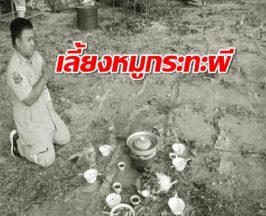หมูกระทะเลี้ยงผีสุสาน จุดธูปเลขโผล่ลุ้นรวย