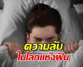 ทำไมเราถึงฝัน?ความลับสมองที่เปลี่ยนการนอนเป็นเรียนรู้