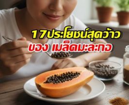 เมล็ดมะละกอจิ๋วแต่แจ๋ว! 17 ประโยชน์ล้นเหลือ พร้อมวิธีใช้ให้ได้ผล