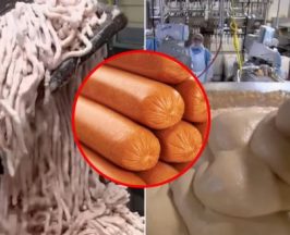 เปิดเบื้องหลัง กรรมวิธีทำฮอตด็อก รู้เเล้วอาจกินไม่ลงอีกเลย