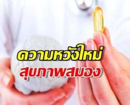 เจอแล้ว! อาหารสมองที่แท้ทรู! แค่กิน ที่ฝ่อไปก็กลับมาดีขึ้นได้!