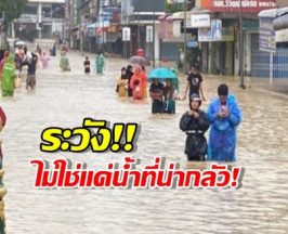 ไม่ใช่แค่น้ำที่น่ากลัว! เช็กด่วน 3 สิ่งอันตรายที่แฝงมากับน้ำท่วม