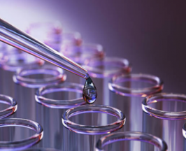 กลยุทธ์เลือกซัพพลายเออร์และสั่งซื้อตัวเร่งปฏิกิริยาเคมี