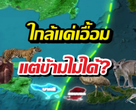 เส้นปริศนาที่สัตว์ 2 ฝั่งไม่กล้าข้าม แม้ห่างกันแค่เอื้อม?