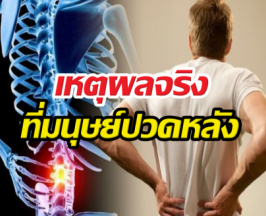 ความลับสายดาร์ก! ทำไมมนุษย์ปวดหลัง เราโดนธรรมชาติทรยศ!