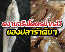 เฉลยสาเหตุ คนอีสานกินปลาร้าดิบ ทำไมไม่เห็นเป็นอะไร