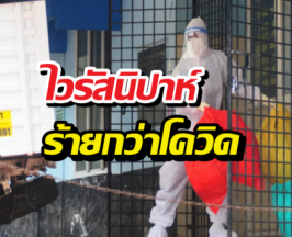 รู้จัก ไวรัสนิปาห์ ระบาดในอินเดีย พยาบาลโคม่า-สั่งกักตัวนับร้อย!