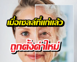 รู้จักการย้อนวัยด้วยCellยามานากะ ที่ทำคำว่าแก่ไม่ถาวรอีกต่อไป