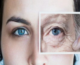 วิจัยญี่ปุ่นเฟิร์ม!เติมสิ่งนี้ปลุกเซลล์เกิดใหม่ หน้าใสไกลริ้วรอย