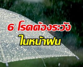 หน้าฝนนี้ต้องระวัง! เช็ก 6 โรคฮิต ปล่อยไว้อันตรายถึงชีวิต